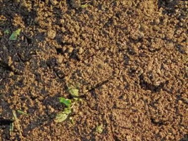 kahverengi toprak dokusu arka plan, doğal arkaplan 