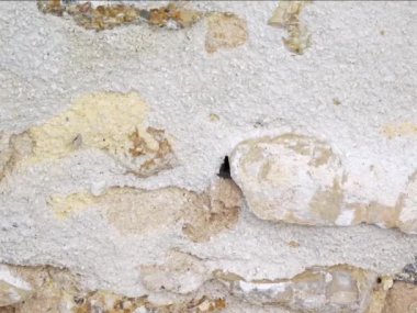 Eski beton duvar arkaplanı kapat 