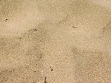 Deniz kum doku, doğal arka plan