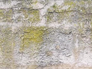 Eski bir taş yüzeyin görüntüleri