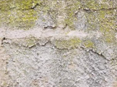 Beton duvar arka planı. Beton duvar dokusu