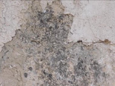 grunge desen arkaplan, soyut desen, duvar, beton