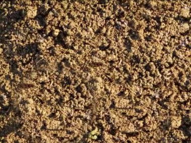 kahverengi toprak dokusu arka plan, doğal arkaplan 