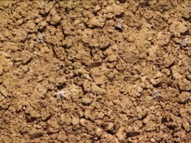 kahverengi toprak dokusu arka plan, doğal arkaplan 