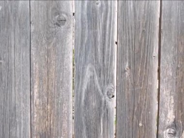 ahşap çit canlandırılmış arkaplan dokusu