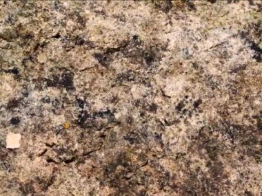 kaya dokusu arka plan, doğal kaya yüzeyi