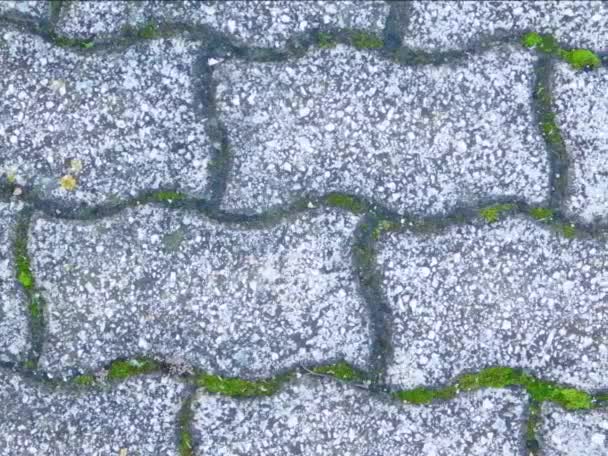 Materiał Filmowy Tekstury Chodnika Kamiennego — Wideo stockowe