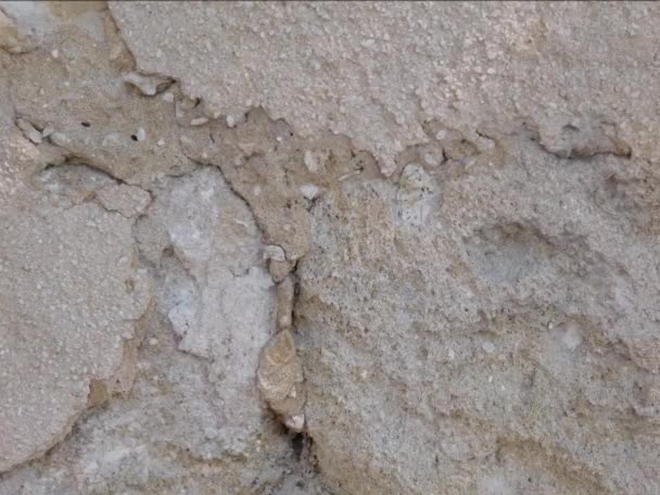 Vecchio Muro Pietra Texture Sfondo — Video Stock
