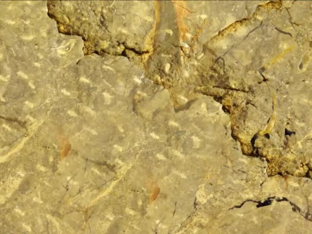 Kamenná Textura Přírodní Zázemí Mramor — Stock video