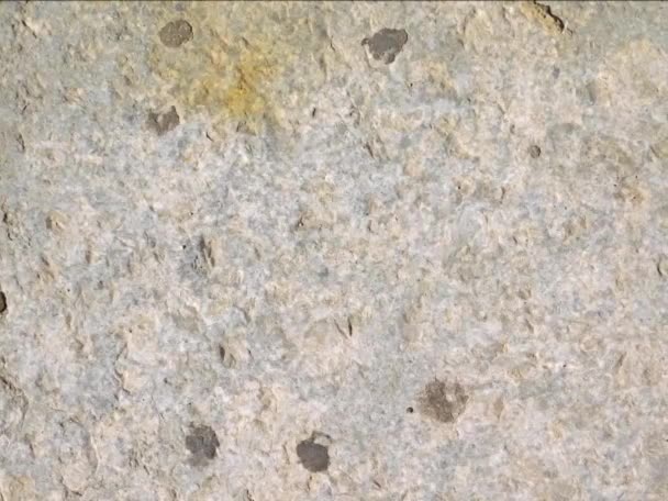 天然石の表面の質感の背景 — ストック動画