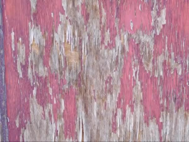 Drewniane Tło Pękniętą Fakturą Farby — Wideo stockowe