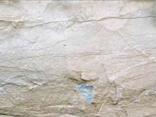 Stary Kamień Ściana Tekstury Tło — Wideo stockowe
