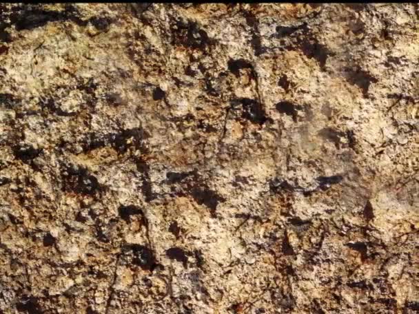 自然な石の質の背景 閉じる — ストック動画