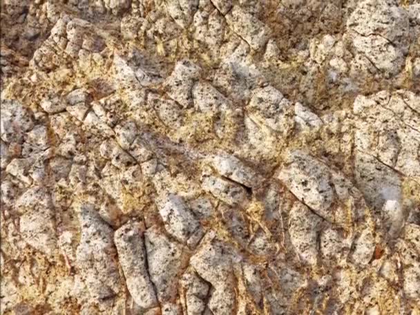Piedras Naturales Textura Fondo Animado — Vídeos de Stock