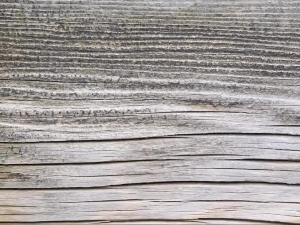 Stare Tekstury Drewna Naturalnym Wzorem — Wideo stockowe