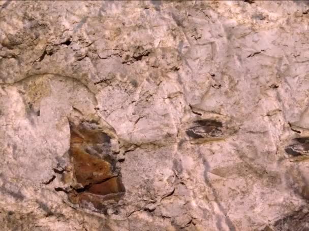 天然石の表面の質感の背景 — ストック動画