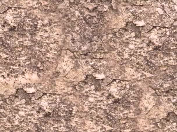 Naturstein Textur Hintergrund Nahaufnahme — Stockvideo