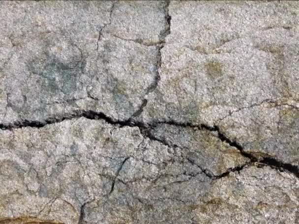 Imágenes Textura Del Fondo Superficie Piedra — Vídeo de stock