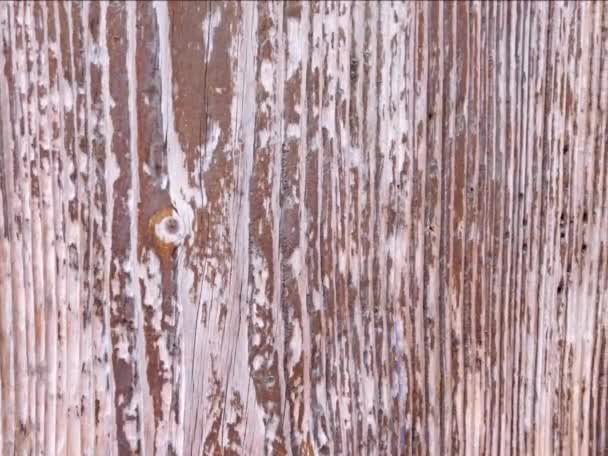 Raue Holzstruktur Mit Natürlichen Mustern — Stockvideo