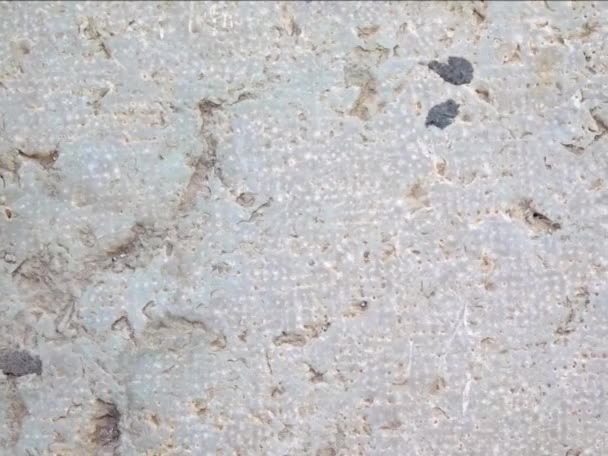 Textura Concreto Velho Com Pintura Peeling — Vídeo de Stock