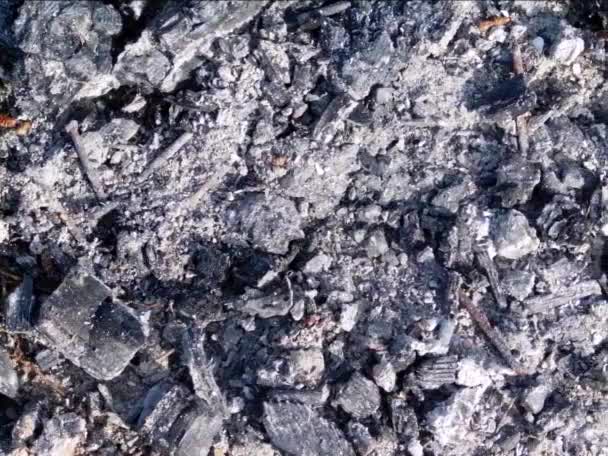Imagens Carvão Queimado Close — Vídeo de Stock