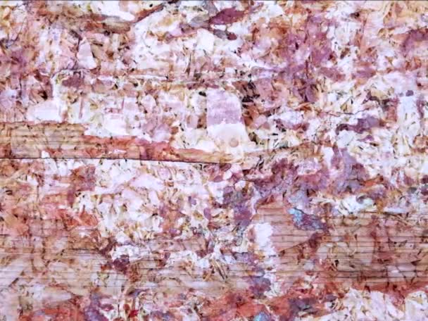 Grunge Drewniana Tekstura Naturalnym Wzorem — Wideo stockowe