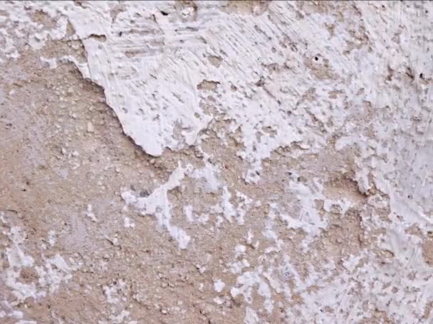 Cimento Concreto Velho Com Rachaduras Imagens Naturais — Vídeo de Stock