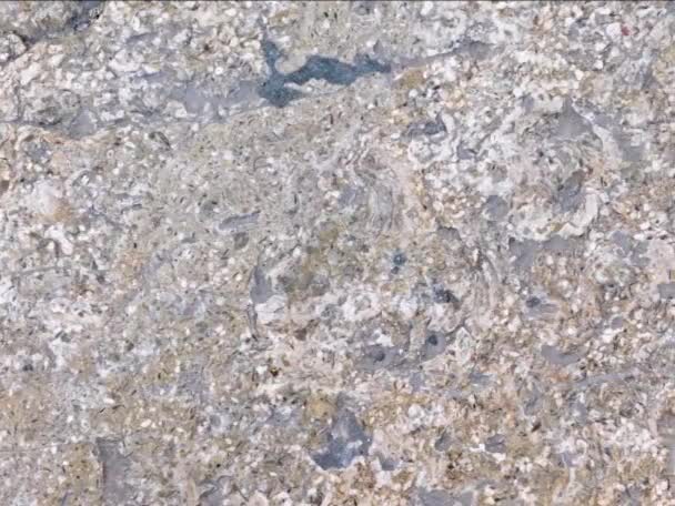 抽象的な石の質の背景のクローズアップ — ストック動画