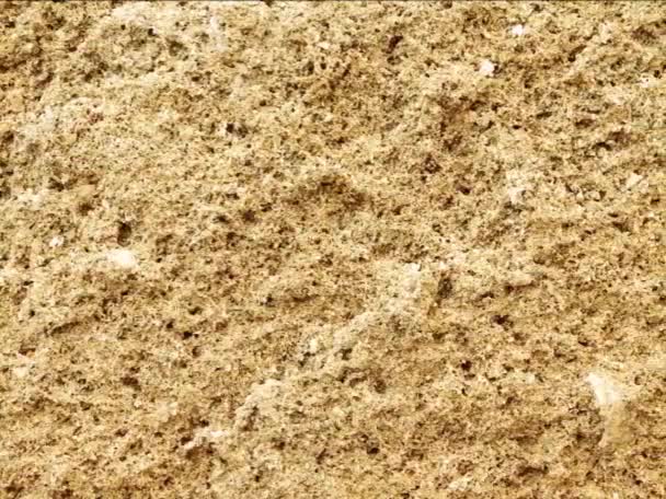 Stone Texture Background Natural Material — Stock Video