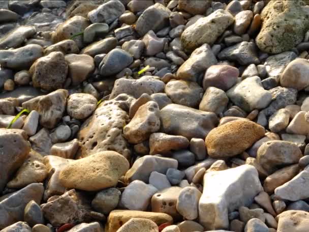 石材质地背景天然材料 — 图库视频影像