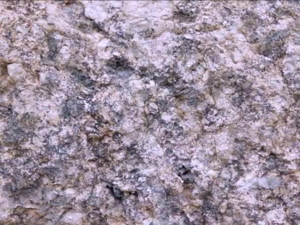 Naturalny Kamień Powierzchnia Tekstury Tła — Wideo stockowe