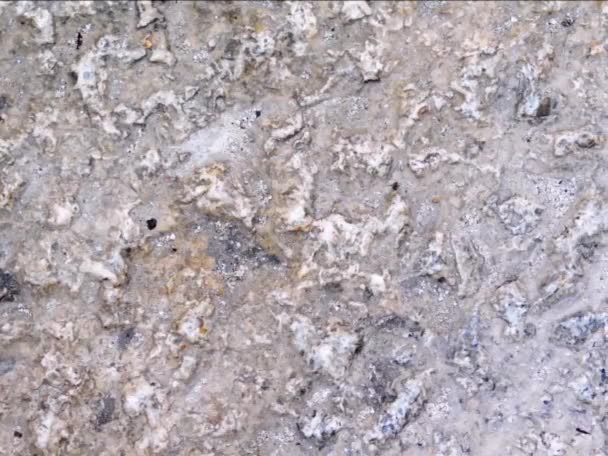Latar Belakang Tekstur Batu Alami Tutup — Stok Video