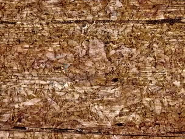 Grunge Naturalne Drewniane Tekstury Tła — Wideo stockowe