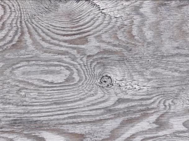 Dřevěná Textura Přírodní Dřevo Pozadí — Stock video