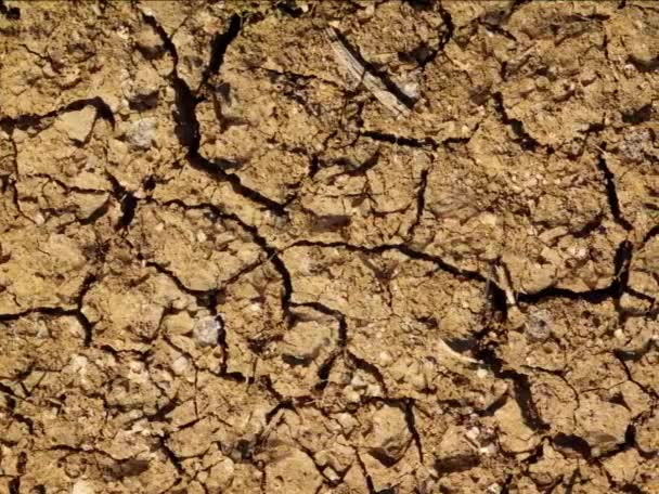 褐色土壤质地背景 自然背景 — 图库视频影像