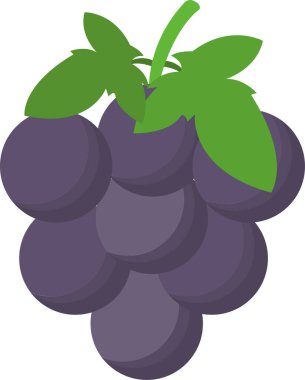 Üzüm meyvesi saglikli simgesi düz stil