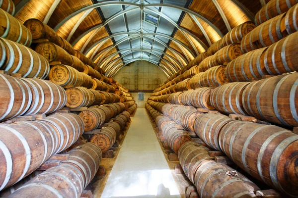 Le Francois, Martinique island , France - December 22, 2022 : Barrels with rum in Habitation Clement on Martinique. It located in the municipality of Le Francois. This rum earned an international reputation.