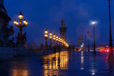 Güzel Alexandre III köprüsü yağmurlu bir akşamda Seine nehri üzerinde, Paris. Fransa