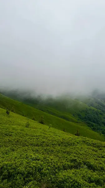 Dağları ve bulutlu gökyüzü olan güzel bir manzara.