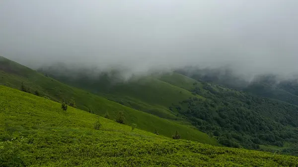 Dağların güzel manzarası