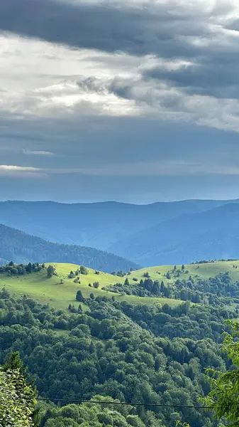 Arkasında bir dağ olan güzel bir manzara.