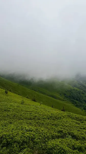 Dağlı güzel bir manzara.