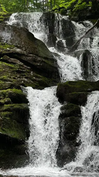 Doğanın arka planında güzel bir şelale