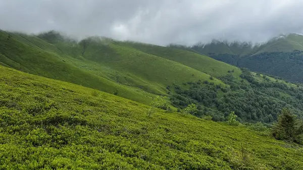 Ukrayna dağlarındaki peyzaj modu