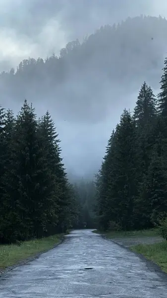 Ukrayna dağlarında sis