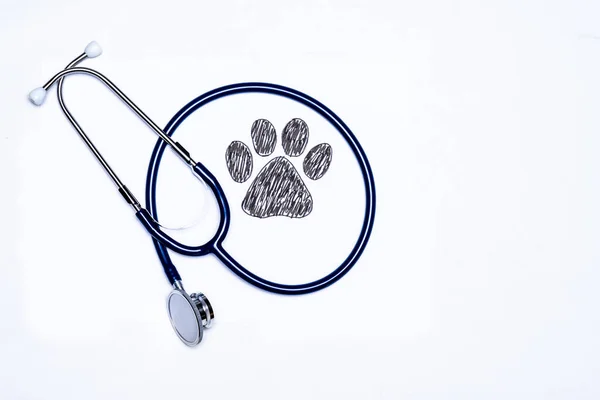 Ślad Psa Stetoskopem Białym Tle Klinika Weterynaryjna Klinika Dla Zwierząt — Zdjęcie stockowe
