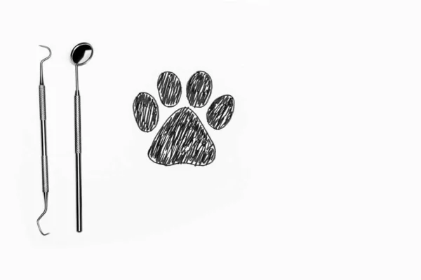 Hondenvoetafdruk Met Stethoscoop Witte Achtergrond Dierenkliniek Dierenkliniek — Stockfoto