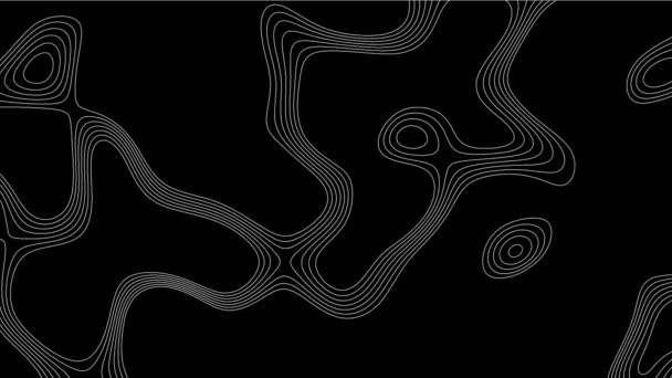 地形ラインループの背景 輪郭線のテクスチャ 黒い背景に流れる滑らかな白い線 トレンド抽象的なデザイン — ストック動画