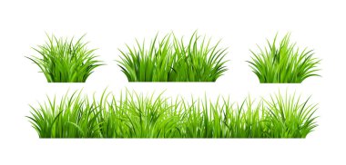 Gerçekçi yeşil çimenler. Taze yeşillikler. Bahar çayırı. Yaz çimeni. Bitkilerle dolu bir açıklık. Doğa manzara vektörü illüstrasyonu.