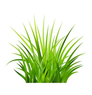 Gerçekçi yeşil çimenler. Taze yeşillikler. Bahar çayırı. Yaz çimeni. Bitkilerle dolu bir açıklık. Doğa manzara vektörü illüstrasyonu.